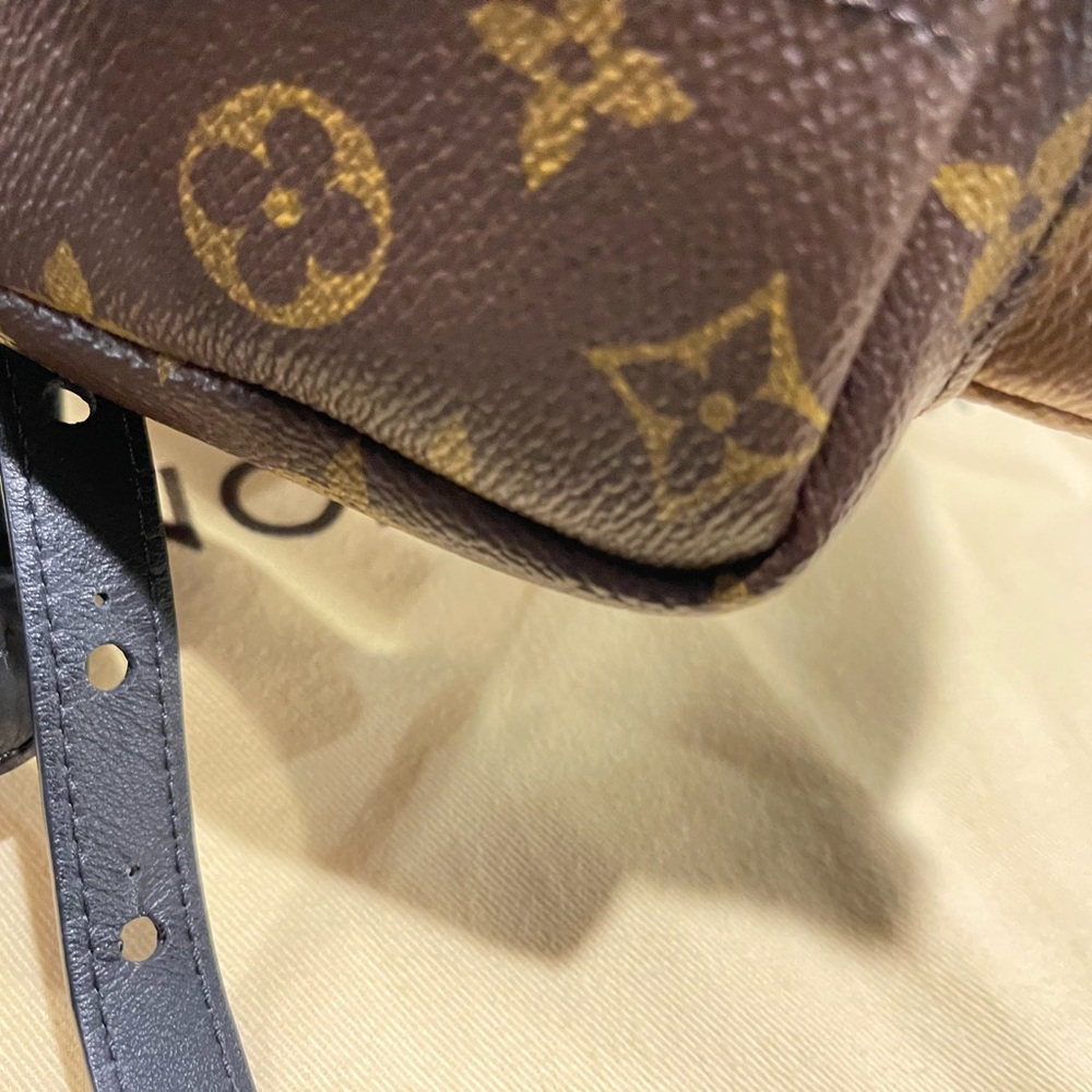 Louisvuitton Palms Spring PM  Reverse - Picture 11 of 11